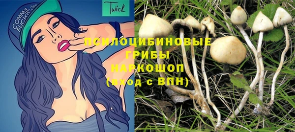 молекула духа Алексин