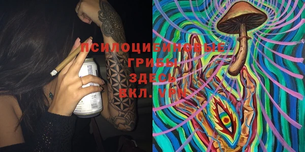 молекула духа Алексин