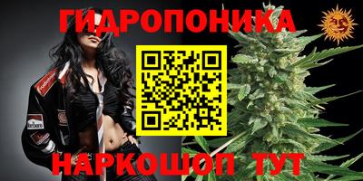 круглые Краснодар