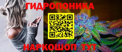 мдпв Краснознаменск